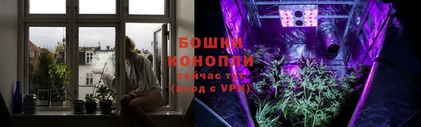 прущая мука Магас