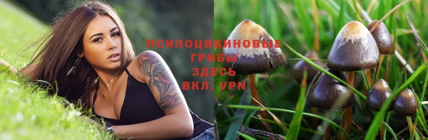 спайс Алзамай