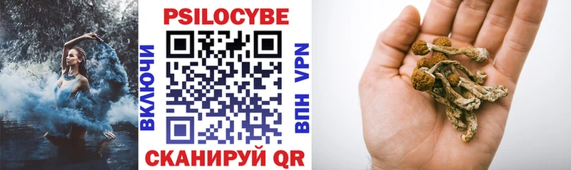 Псилоцибиновые грибы Psilocybe  Алатырь 